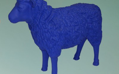 Die Blauschäferei · Blaue Schafe bei der Fa. ASAL