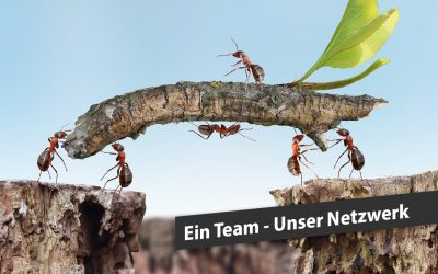 Ein Team, unser Netzwerk – Ihre Vorteile