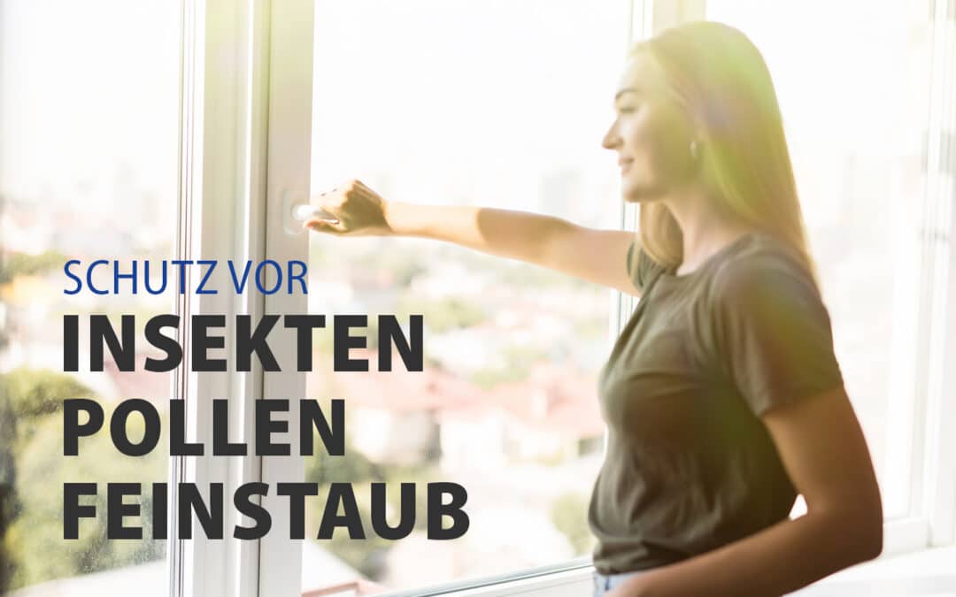 Hochwertige Gaze 2024